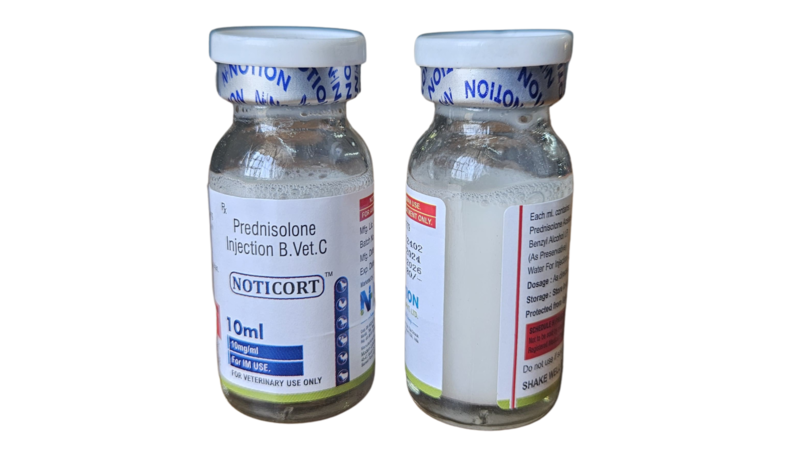 PREDNISOLONE 10 ml Inj