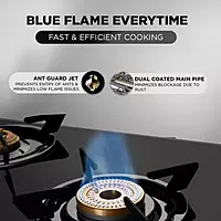 PREETHI STOVE GTS SPARKLE 3B