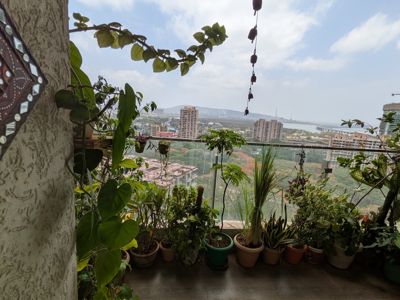 The Stoic Bitiya's Anchal Aangan Parel Mumbai