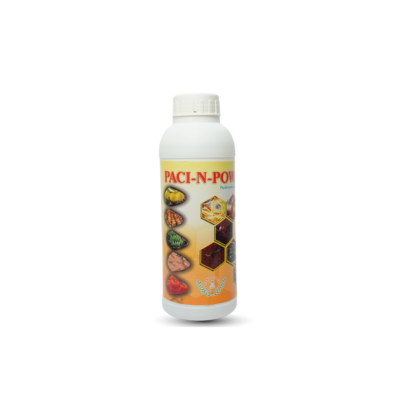 Paci-N-Power - Paecilomyces lilacinus -Bio Nematicide for Effective Crop Protect