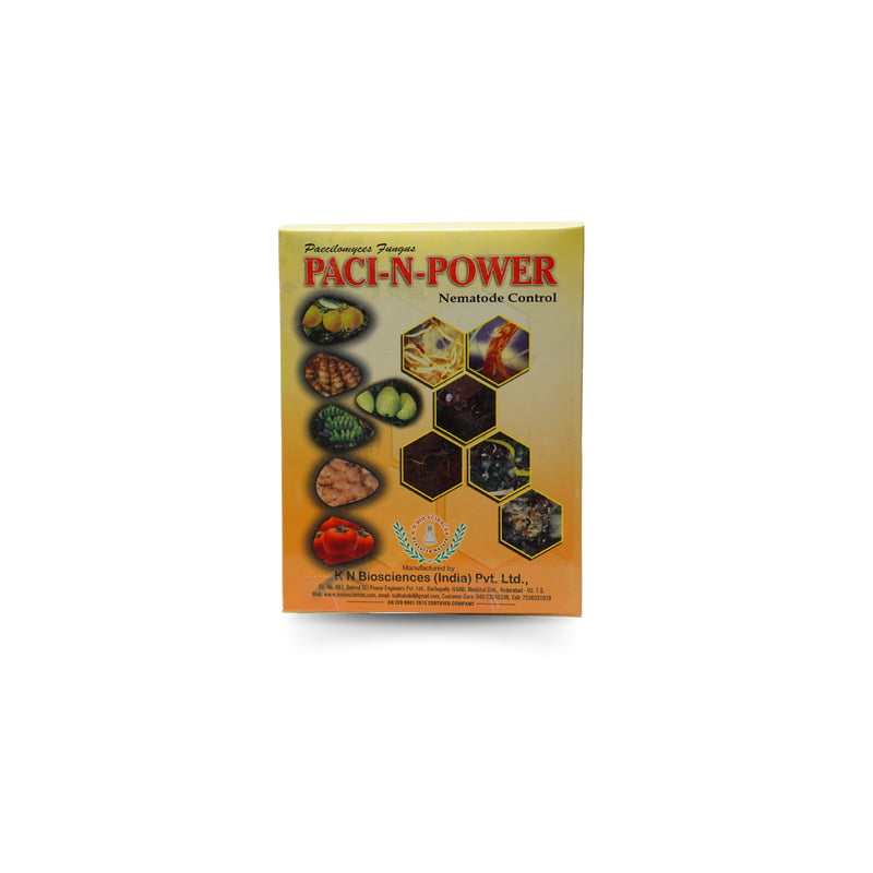 Paci-N-Power - Paecilomyces lilacinus -Bio Nematicide for Effective Crop Protect