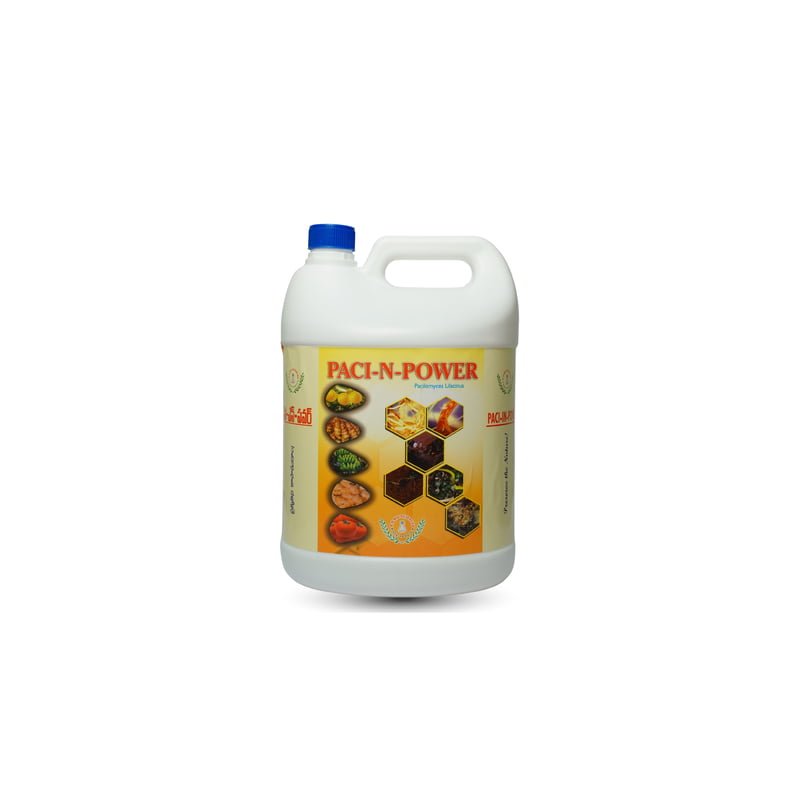 Paci-N-Power - Paecilomyces lilacinus -Bio Nematicide for Effective Crop Protect