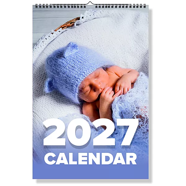 2026 Cozy Nest Wall Calendar