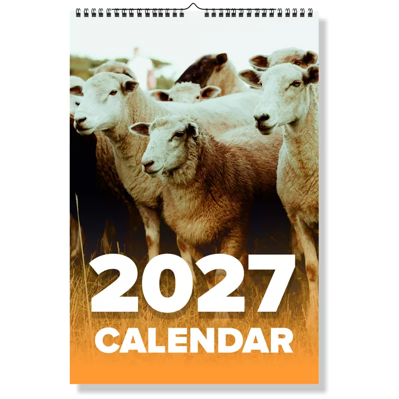2027 Sheeps Wall Calendar