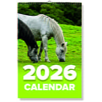 2027 Horse Wall Calendar