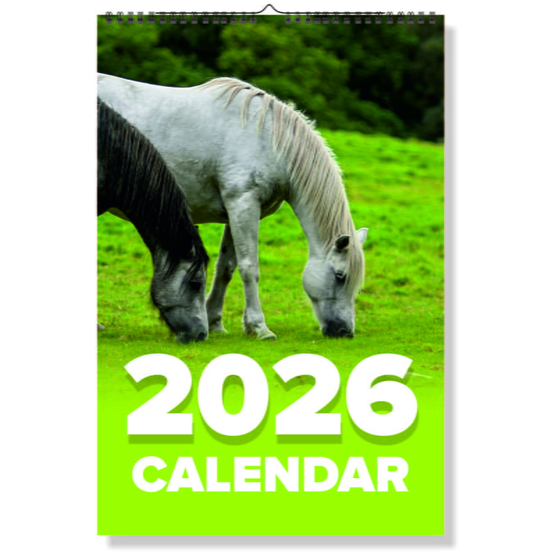 2027 Horse Wall Calendar