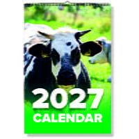 2027 Cow Wall Calendar