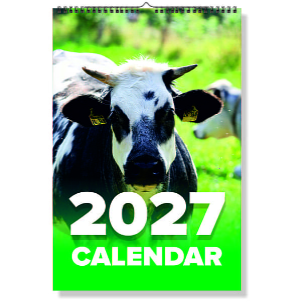2027 Cow Wall Calendar