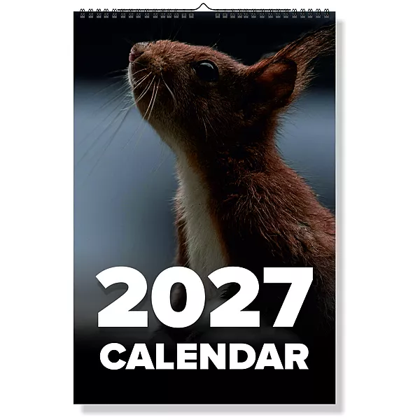 2027 Squirrel Wall Calendar