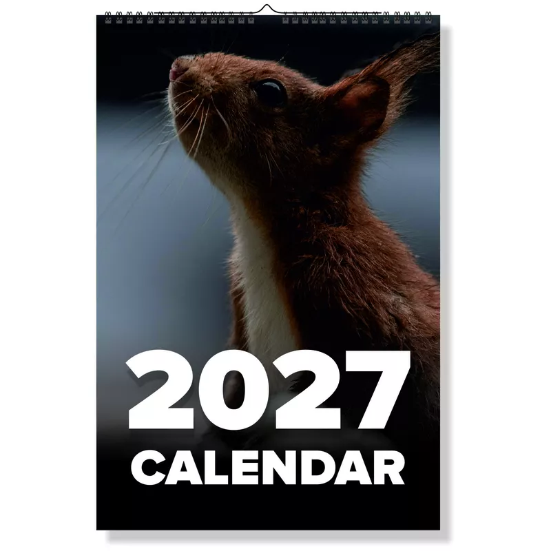2027 Squirrel Wall Calendar