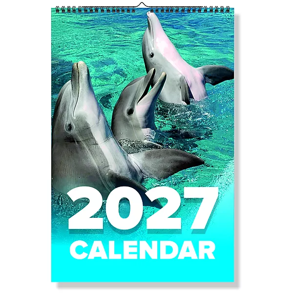 2027 Dolphin Wall Calendar