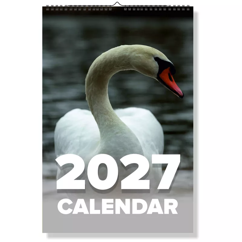 2027 Swan Wall Calendar