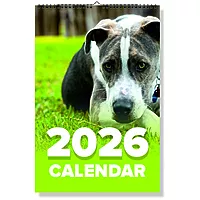 2027 Dog Wall Calendar