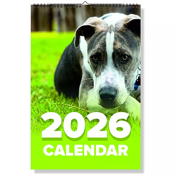 2027 Dog Wall Calendar