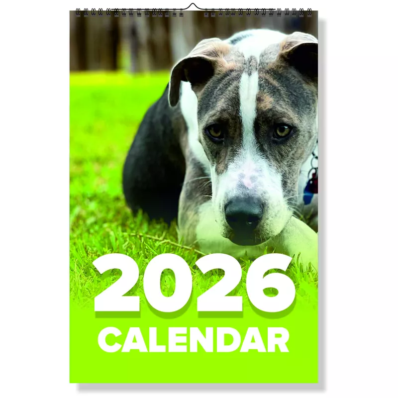 2027 Dog Wall Calendar