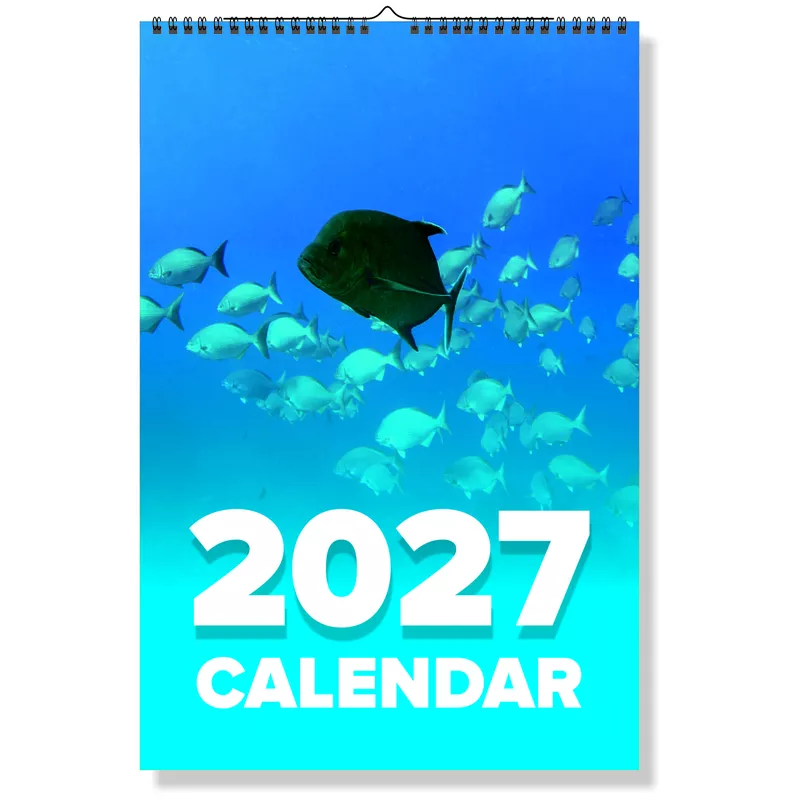 2027 Fish Wall Calendar