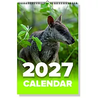 2027 Cangaroo Wall Calendar