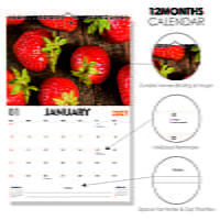 2027 Juicy Fruits Wall Calendar