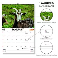 2027 Sheeps Wall Calendar