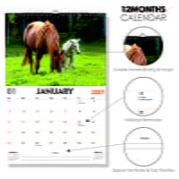 2027 Horse Wall Calendar