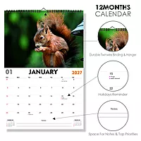 2027 Squirrel Wall Calendar