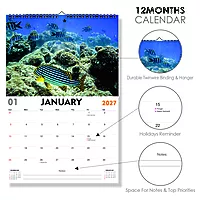 2027 Fish Wall Calendar