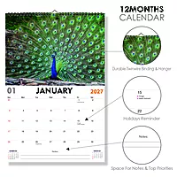 2027 Peacock Wall Calendar