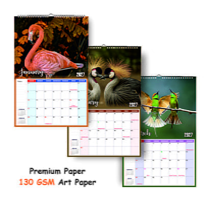 2026 Exotic Birds Wall Calendar