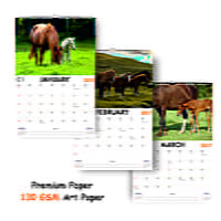 2027 Horse Wall Calendar
