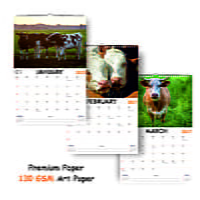 2027 Cow Wall Calendar