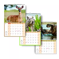 2026 Wildlife Animals Wall Calendar