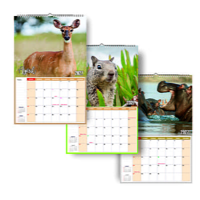2026 Wildlife Animals Wall Calendar