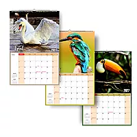 2026 Exotic Birds Wall Calendar