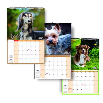 2027 Cute Dogs Wall Calendar