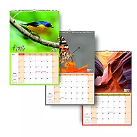 2026 Nature Leaf Wall Calendar