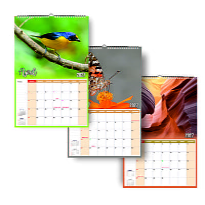 2026 Nature Leaf Wall Calendar