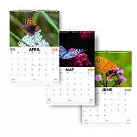 2027 ButterFly Wall Calendar