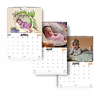 2027 Nature’s Little Wonder Wall Calendar