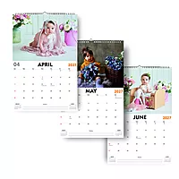 2026 Sunshine Smiles Wall Calendar