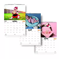 2026 Sunlit Smiles Wall Calendar