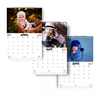 2026 Cozy Nest Wall Calendar