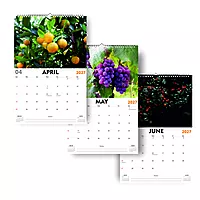 2027 Fruits Wall Calendar