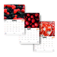 2027 Juicy Fruits Wall Calendar