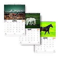 2027 Horse Wall Calendar