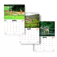 2027 Deer Wall Calendar