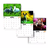 2027 Rabit Wall Calendar