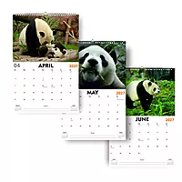 2027 Panda Wall Calendar