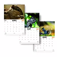 2027 Squirrel Wall Calendar