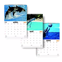 2027 Dolphin Wall Calendar