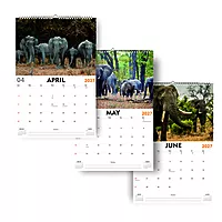 2027 Elephant Wall Calendar